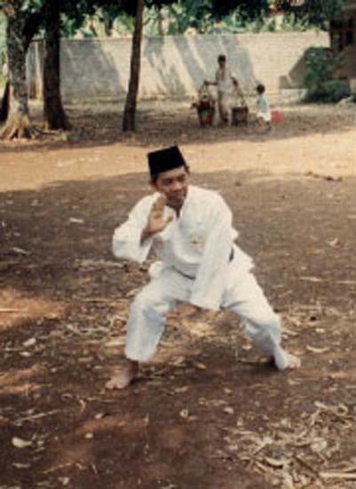 d2 ibrahim action standing position