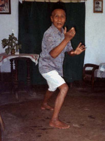 o3 sudar in standing position action